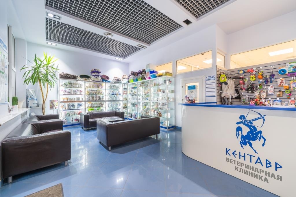 Ресепшн ветеринарной клиники Кентавр
